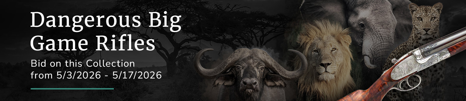 Dangerous Big Game Rifles Collection