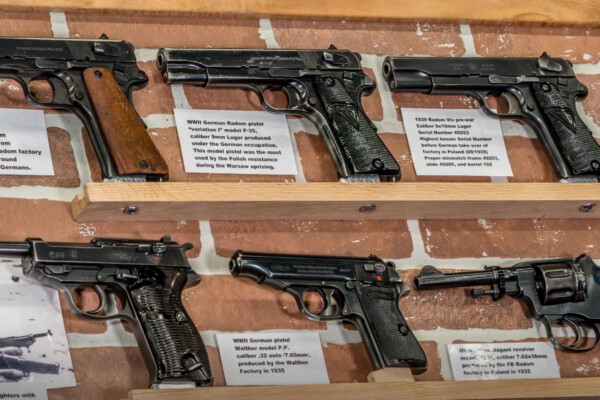 Collection of a Prolific European Gun Collector and his 50+ Historical Firearms
